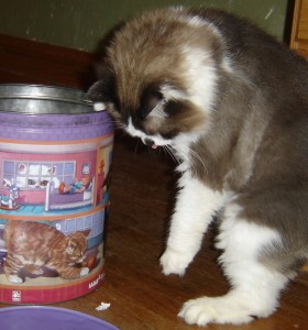 Notice him licking his lips...