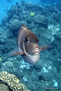 DSC05770