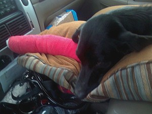 Headin' home at last!